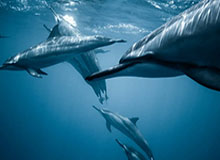 MK体育APP：让运动的每一刻都被看见